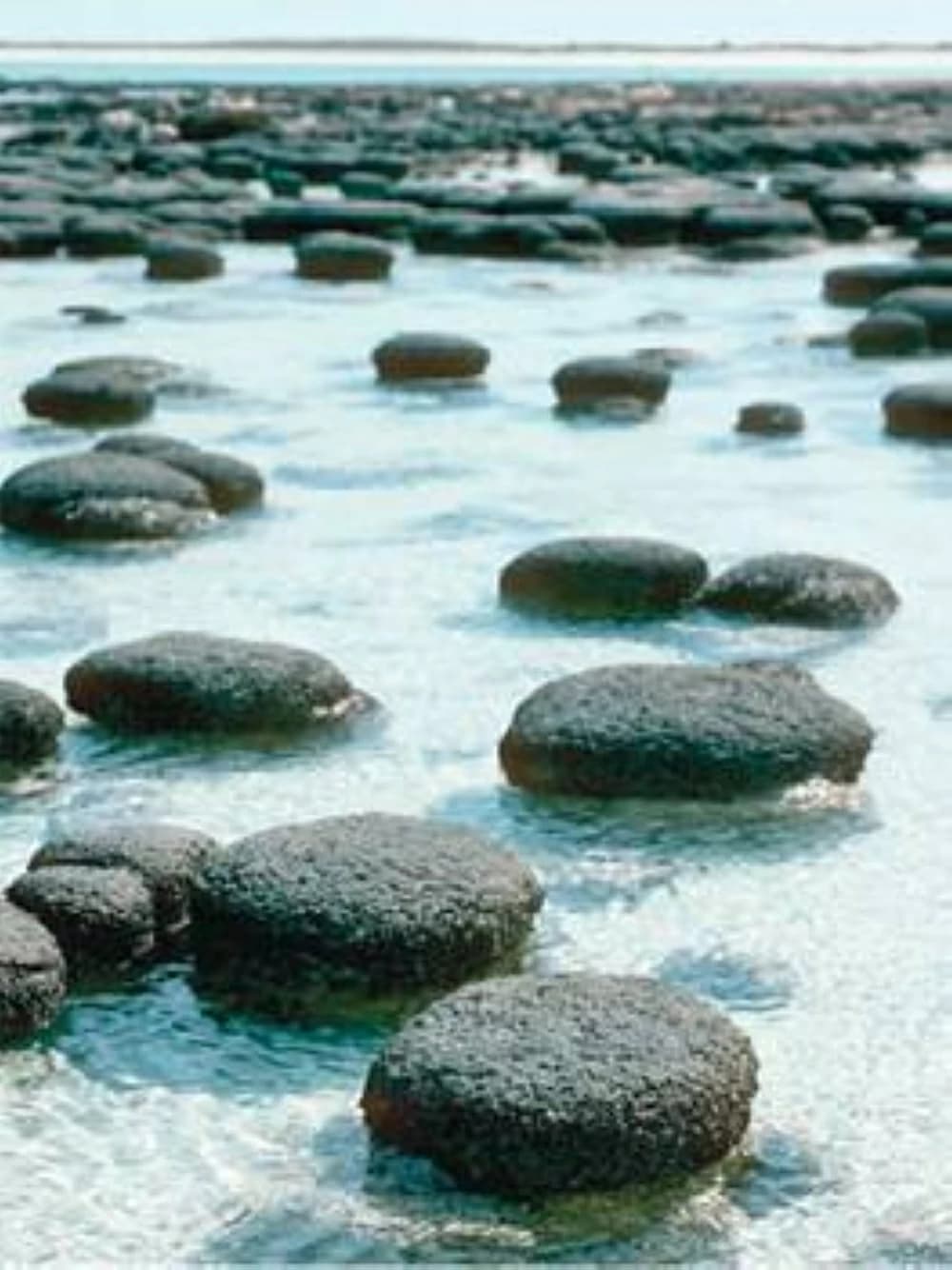 اكتشاف علمي في كهوف أمريكا يفتح آفاقاً جديدة للبحث عن الحياة