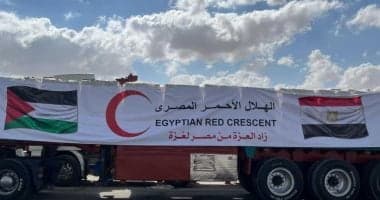 مصر الحامية للحقوق الفلسطينية تقود معركة دبلوماسية شاملة