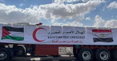 مصر الحامية للحقوق الفلسطينية تقود معركة دبلوماسية شاملة